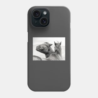 Funny Smiling Ranch Horse Phone Case