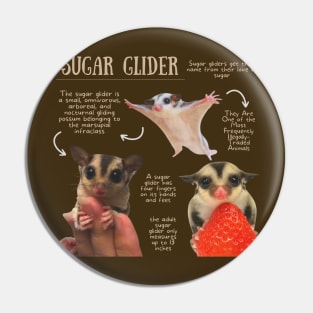 Animal Facts- Sugar Glider Pin