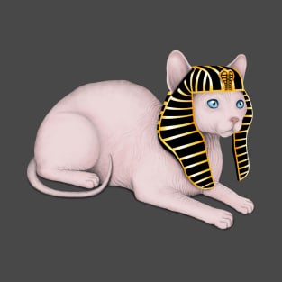 Sphynx Cat (Grey Background) T-Shirt