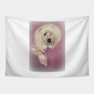 Chinese Crested Dog on Pink Tapestry