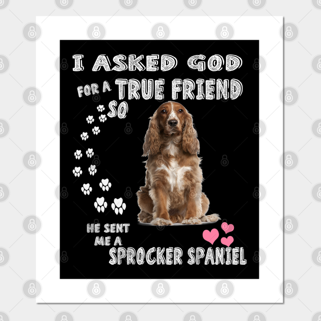 sprocker gifts