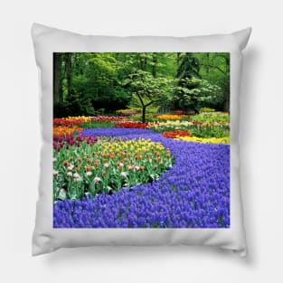 Flowers at a garden (B630/0051) Pillow