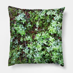 Greenery Pillow