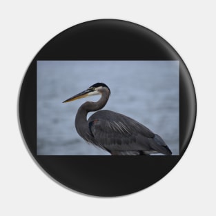 Great Blue Heron 21 Pin