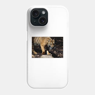 Tiger Stalking - Close Up Phone Case