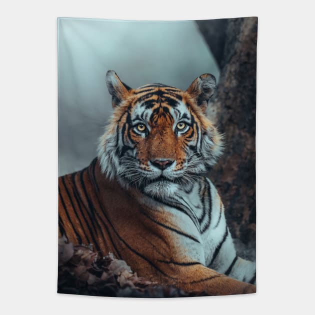 Staring Bengal Tiger Tapestry by withluke