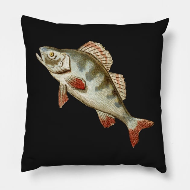 Here Fishy Fishy Pillow by TRNCreative