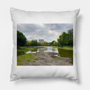 lagoon, water, park, people, green, travel, wood, nature, view, brown, philippines, wildlife, asia, zoo, lagoon, attraction Pillow