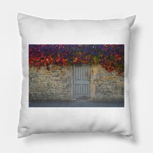 Merton College Wall. Oxford, UK Pillow