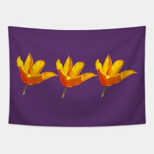 Three Orange Tulips Floral Photo Tapestry