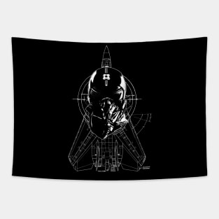 F14 Tapestry