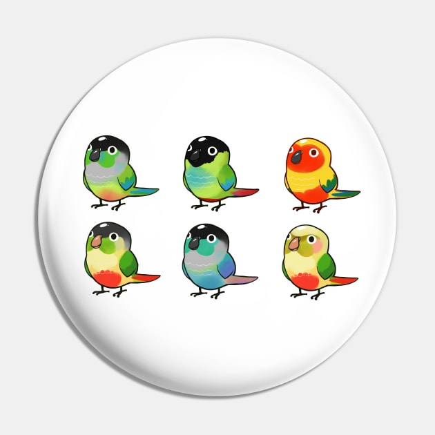 Conure Bunch Pin by Shemii