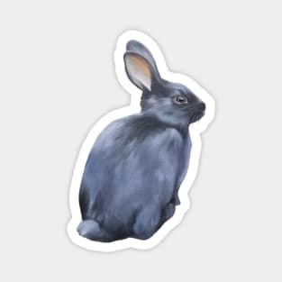 Black Rabbit Magnet