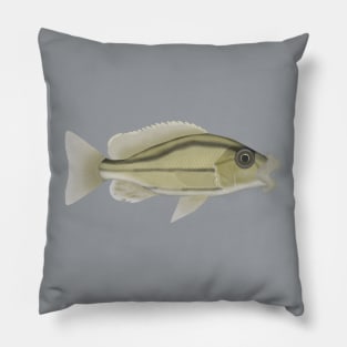 Malawi Thicklip Pillow