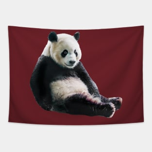 Pondering Panda Tapestry