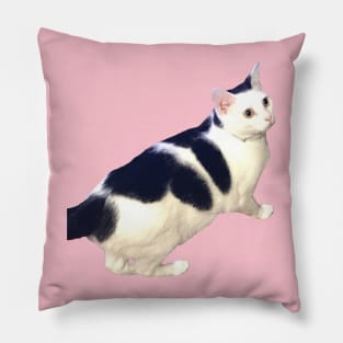 Cute Black & White Cat Pillow