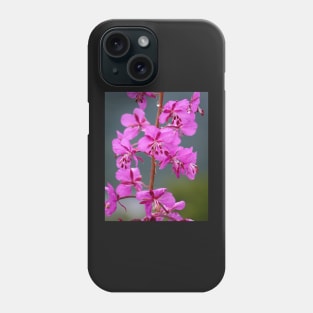 Alaskan Fireweed 3 Phone Case