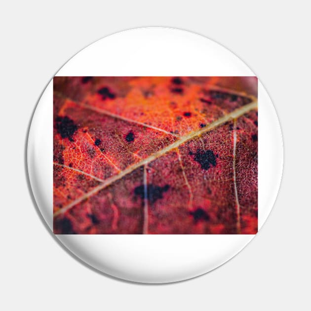 Fall Leaf Close Up Pin by glovegoals