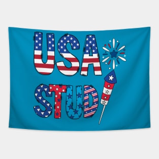 Usa Stud 4th Of July Fire Works Tapestry