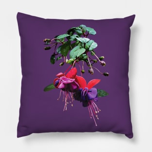 Fuschia - Red and Purple Fuschia Pillow