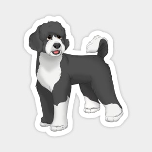 Black & White Portuguese Water Dog Magnet