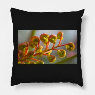 Grevillea Pillow