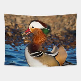 Mandarin Duck at the Pond Tapestry