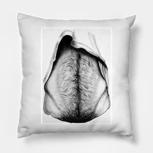 Treasure Pillow