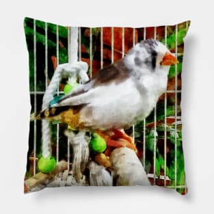 Birds - Zebra Finch Pillow