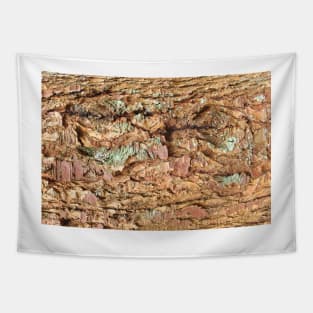 Brown Pine Bark Texture Tapestry