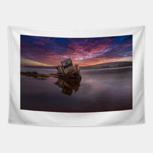 The Forgotten Point Reyes Tapestry