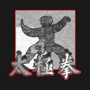 Brick Wall Tonal Tai Chi Clothing Design T-Shirt