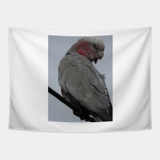 Galah Tapestry