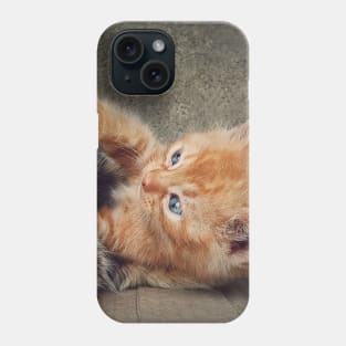 Playful orange kitten Phone Case