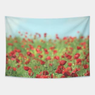 Daytime Poppy field Tapestry