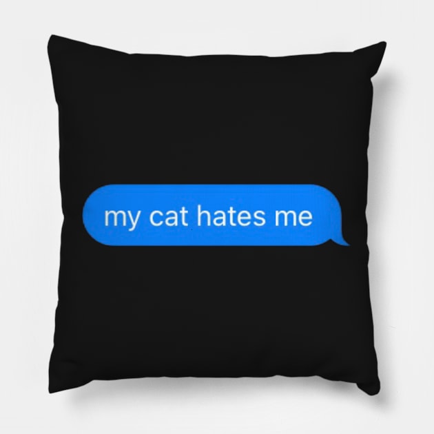 my cat hates me message Pillow by mcmetz