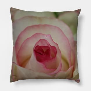 roses Pillow