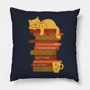 Catnap on Book stack Pillow