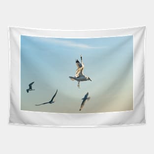 Hovering Larus Californicus 2 Tapestry