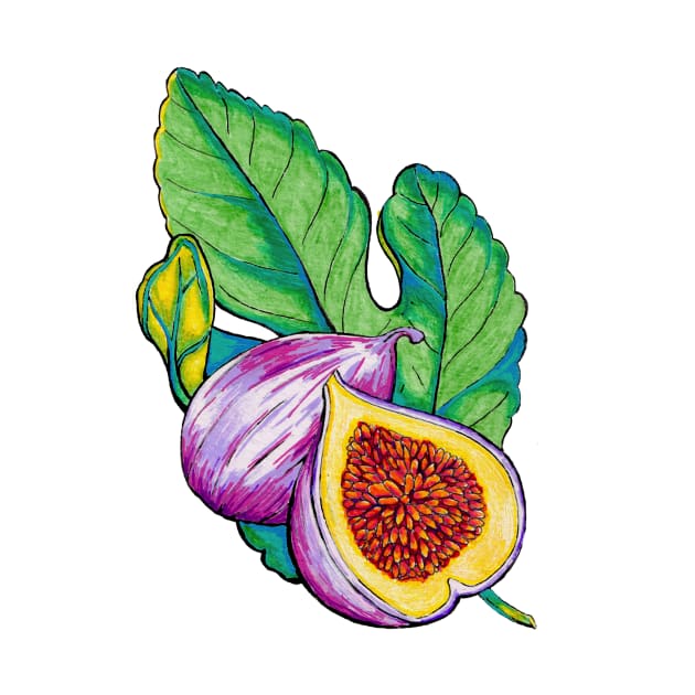 Fig Vintage Botanical Illustration by rosiemoonart