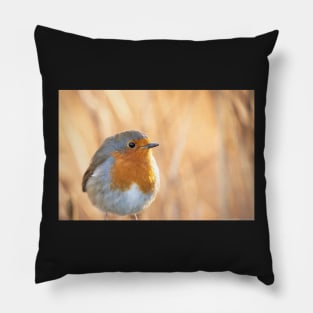 Robin redbreast in gold Pillow