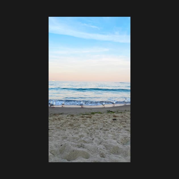 Seagulls sit on the beach by taya-stdnk