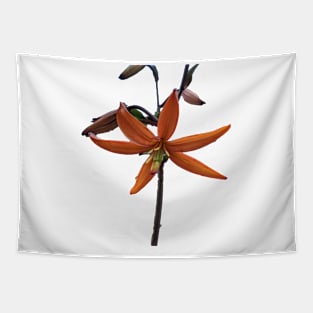 Lily Tapestry