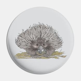 Echidna Pin