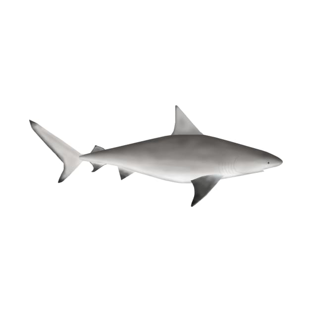 Bull Shark by FishFolkArt