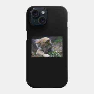 Wolf Pup Phone Case