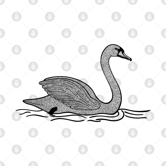 Swan Ink Art - beautiful detailed bird drawing - on white by Green Paladin