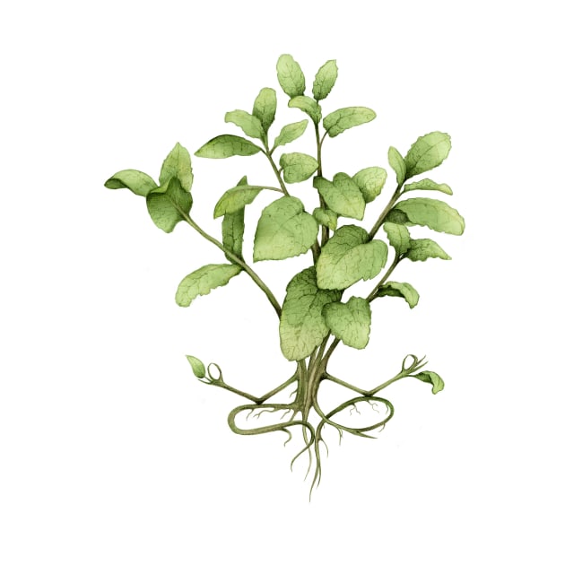 mint plant yoga by KindSpirits