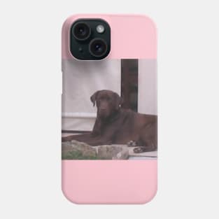 Labrador Retriever Chocolate laying Phone Case