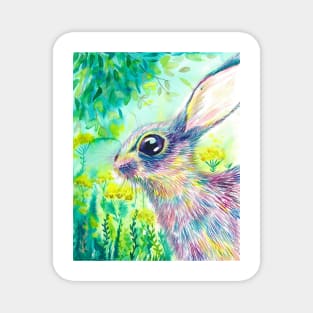 Rainbow hare watercolor Magnet